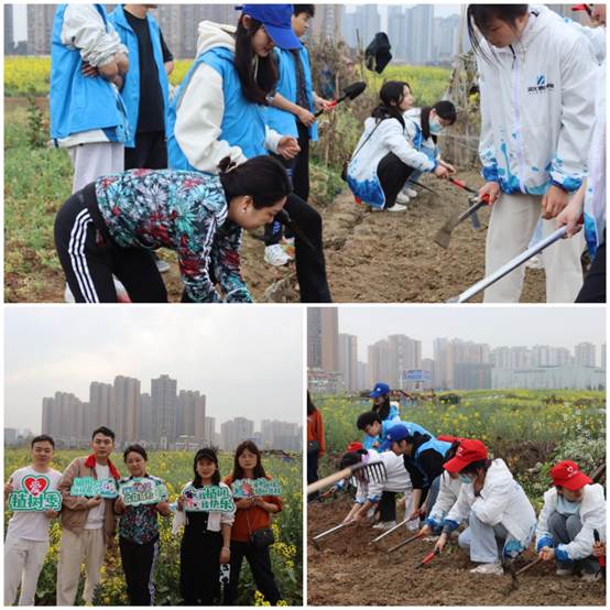 图示, 示意图

中度可信度描述已自动生成:ver1